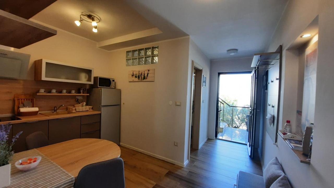 Apartments Alea 罗维尼 外观 照片