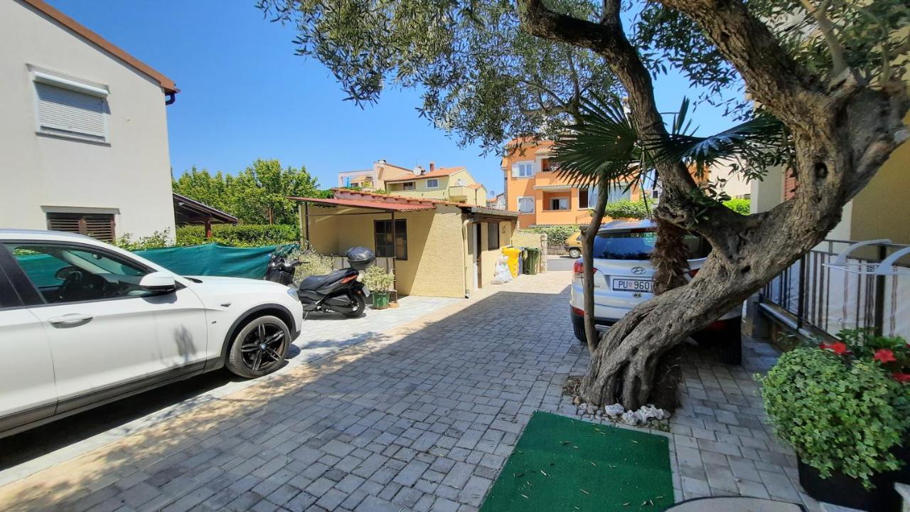 Apartments Alea 罗维尼 外观 照片